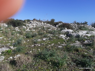 traro-30-12-2021 12-11-09